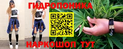 ешки Гатчина